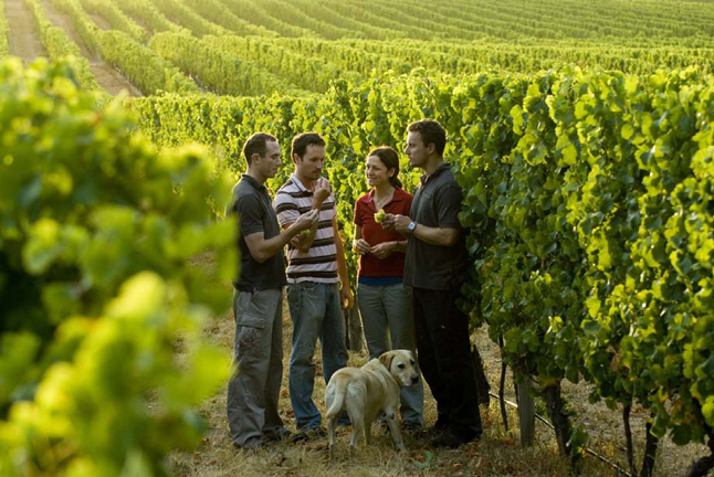 ウォーバーン warburn estate wines