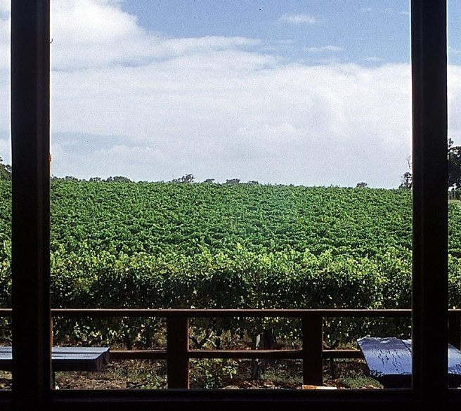 ティム・アダムス tim adams wines